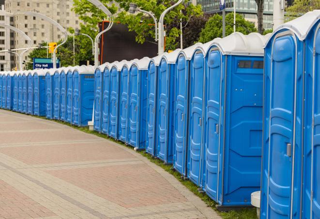 a row of portable restrooms ready for eventgoers in Cedar Grove